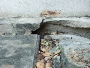 A broken pavement could lead to public liability accidents.