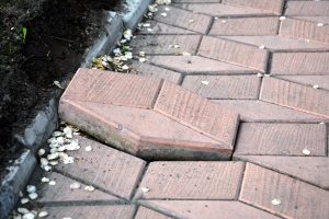 A loose pavement slab sits several inches higher than the identical slabs around it.